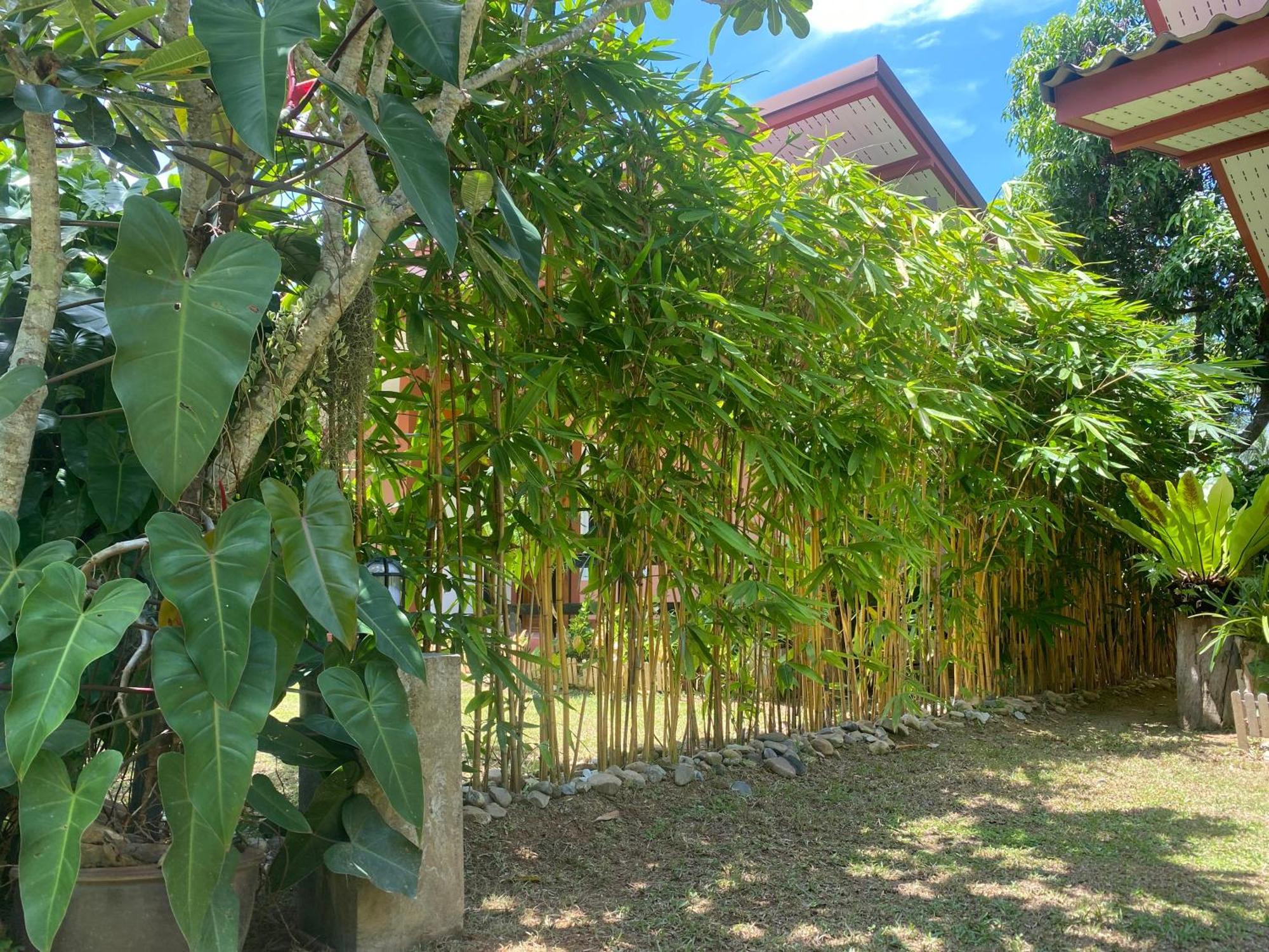 Baan Longhaad Hostel Ko Lanta Exterior foto